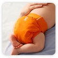 gDiapers Great Orange Little gPants - Large