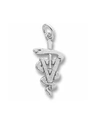Veterinarian Charm