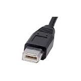 Canon 0742B001 FS 12-Inch Firewire Cable for FS-4/FS-C