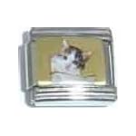 cat picture charm