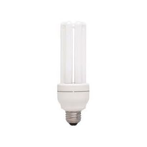 GE Lighting 49885 FLE20TBX 2 SW CD Compact Fluorescent Bulb Triple Biax by 