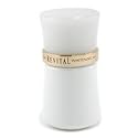 Shiseido Revital Whitening AA 40ml/1.3 oz