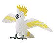 Safari: Cockatoo