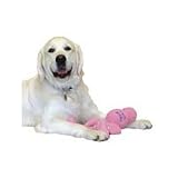 Kong Snugga Wubba Large (Colour: Blue)
