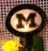 Collegiate Night Light University Of Michigan