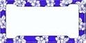 Tropical Blue with Flowers Frame (Made of Plastic)