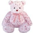 Ty Punkies Hugz Valentines Day Bear