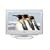 Toshiba 19DV616DB 19-inch Widescreen HD Ready LCD/DVD Combi with Freeview - White