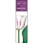 2009 Tulips Bookmark Calendar