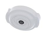 PEL OG INDR SRFMT 5M 360 IP CA M WT