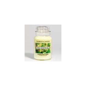 Yankee Candle 22 oz. Sweet Honeysuckle Jar Candle