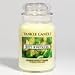 Yankee Candle 22 oz. Sweet Honeysuckle Jar Candle