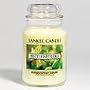 Yankee Candle 22 oz. Sweet Honeysuckle Jar Candle