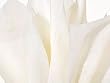 10 Sheets Gift Tissue Paper - Each Sheet 20" X 26" - Wedding/Shower/Party/Gift Wrap - White