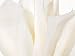 10 Sheets Gift Tissue Paper - Each Sheet 20" X 26" - Wedding/Shower/Party/Gift Wrap - White