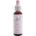 Bach Holly (1 x 20 ML)
