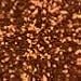 Creative Arts by Charles Leonard Glitter, 16 Ounce Bottle, Orange (41165)