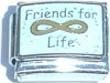 Clearly Charming Friends For Life Italian Charm Bracelet Link