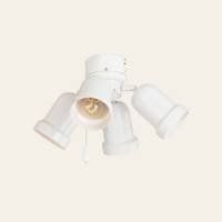 Best Price Basic-Max Ceiling Fan Light Kit Finish: Satin nickel