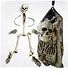 Bag of Bones
