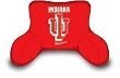 NCAA Sports Indiana Hoosiers 20X12 Bedrest - College Athletics Fan Shop Merchandise