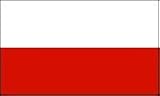 Poland 3'x5' Polyester Flag
