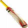 Junior Cricket Bats