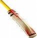 Junior Cricket Bats