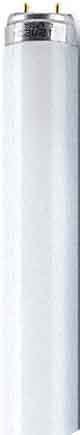 Osram L 36W/60 Rot