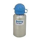BornFree Stainless Steel Water Bottle, 9 oz. 1 ea Stainless Steel Bottle With Straw