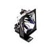 Replacement Lamp for LT20