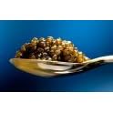 Classic Grey Sevruga Caviar