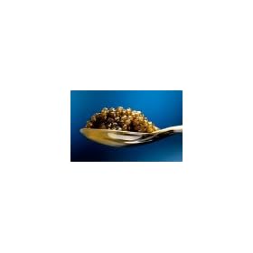 Classic Grey Sevruga Caviar 'Malossol' - 1 oz/28.5 gr, Caspian Russian.