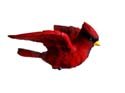 Clark Collection Cardinal Window Magnet CC1406024