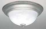 20007-02-55 Forte Lighting