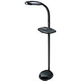 Full Spectrum Floor Lamp