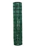 picture of Garden Fence Vinyl 2X4 14G - 36 In X 50 Ft - Green