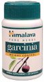 Garcinia - Lipid Control - 60 - VegCap