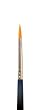 Professional Make-Up Brush Size 1