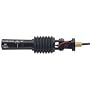 Audiovox 2503421 Cruise Cntrl Import