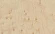 Birdseye Maple Veneer 2'X4' [CAPITOL CITY LUMBER]