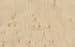 Birdseye Maple Veneer 2'X4' [CAPITOL CITY LUMBER]