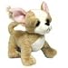Chihuahua Webkinz