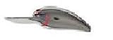 Rebel WEE "R" Shad