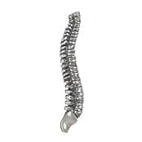 Spine Lapel Pin