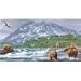 Absolute Alaska, 500 Piece