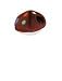 Plush Cat House/bed mushroom, Cat Beds, Cat Beds, Cat Bedding, Cats, Pet & Supplies