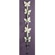 Five cream butterfly hooks