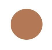 Prestige Classic Lipstick CL-11A Mocha