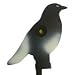 Pigeon Knockdown Target & Reducers Air Rifles Pistols